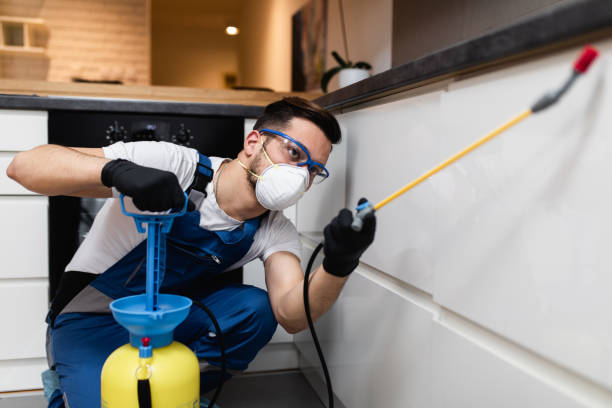 Best Exterminator Services  in Rhome, TX