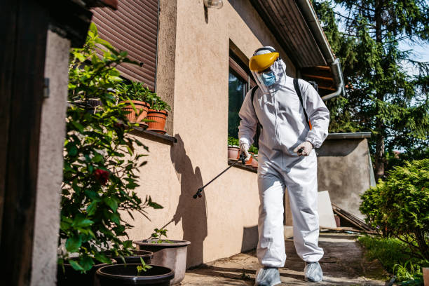 Best Pest Control Near Me  in Rhome, TX