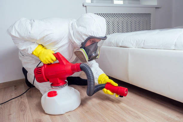 Wildlife Control Services in Rhome, TX