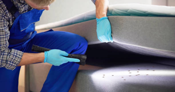 Best Pest Removal Services  in Rhome, TX