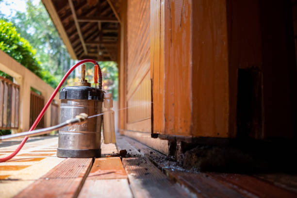 Best Affordable Pest Control Services  in Rhome, TX