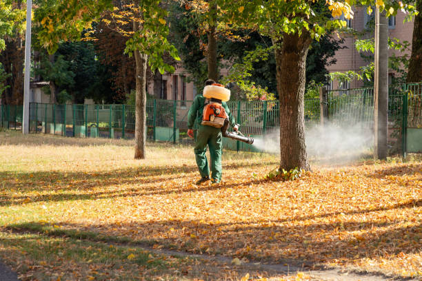 Best Insect Control  in Rhome, TX