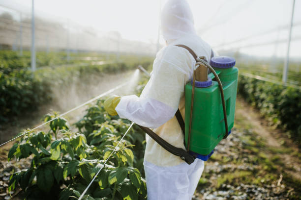 Best Pest Control Near Me  in Rhome, TX